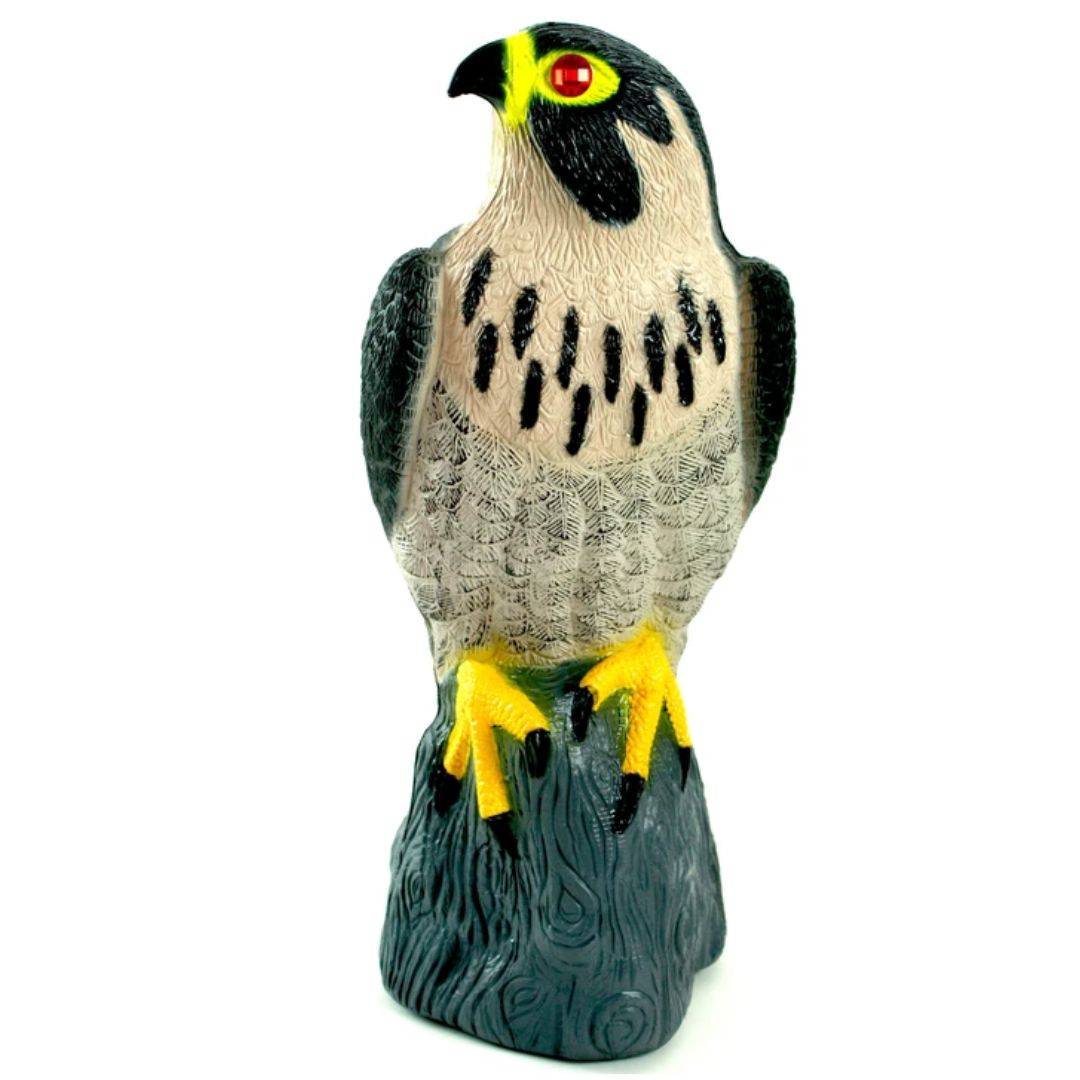 FALCON DECOY
