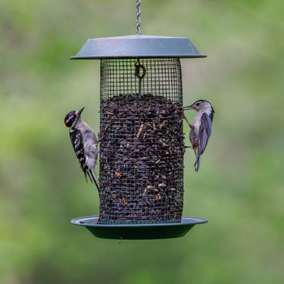 WILD BIRD SEED &amp; SUPPLIES