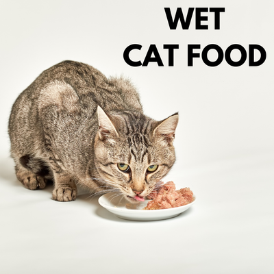 CAT FOOD WET