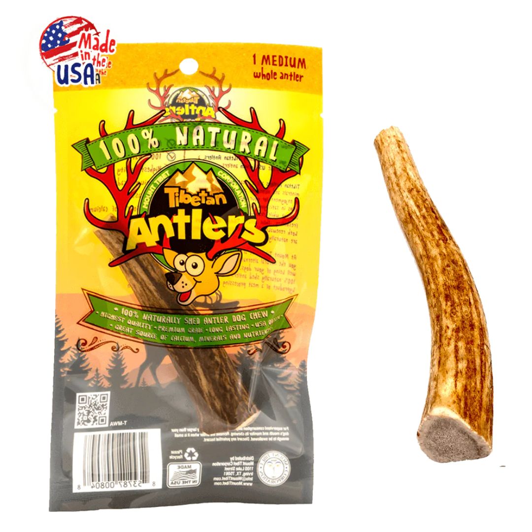 WHOLE ELK ANTLER TIBETAN MED