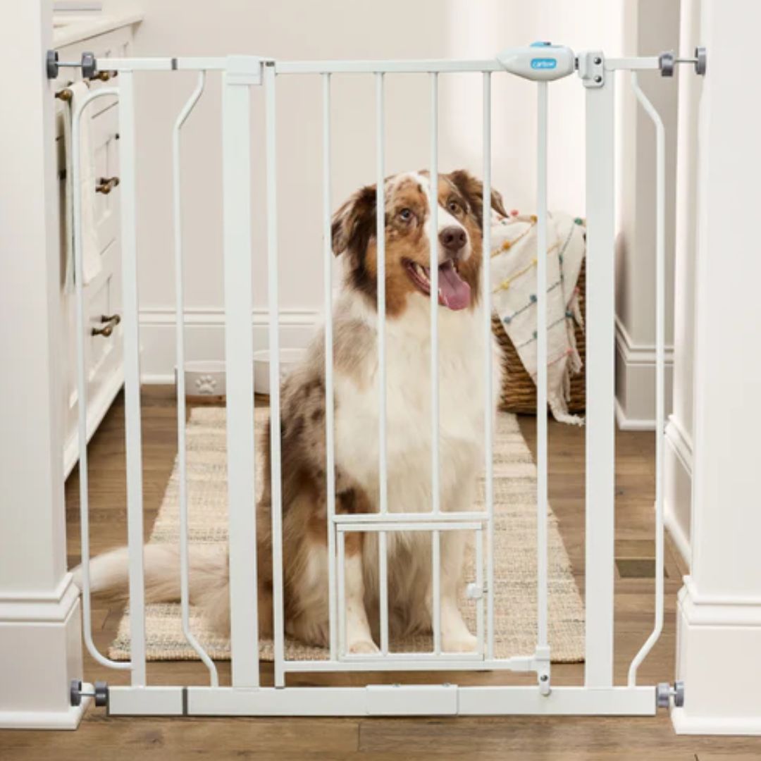 PET GATE EXTRA TALL WALK-THRU METAL 29-36.5X36