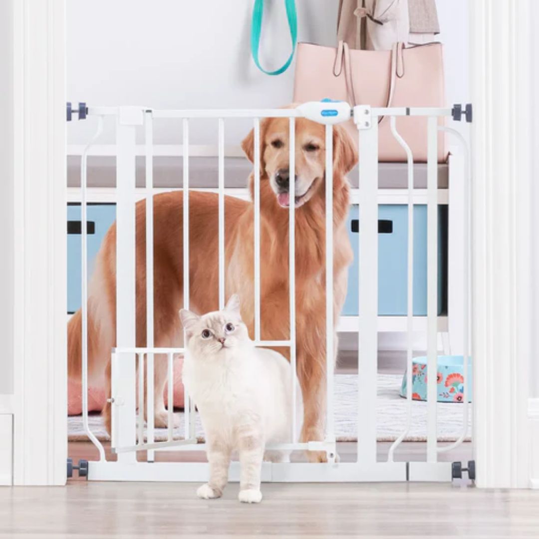 PET GATE EXTRA WIDE WALK-THRU METAL 29-39X30