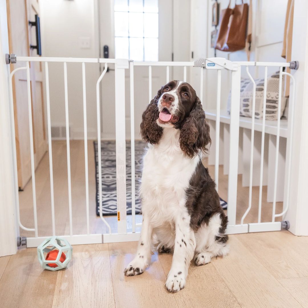PET GATE EXTRA WIDE WALK-THRU METAL LIFT HANDLE 29-52X30