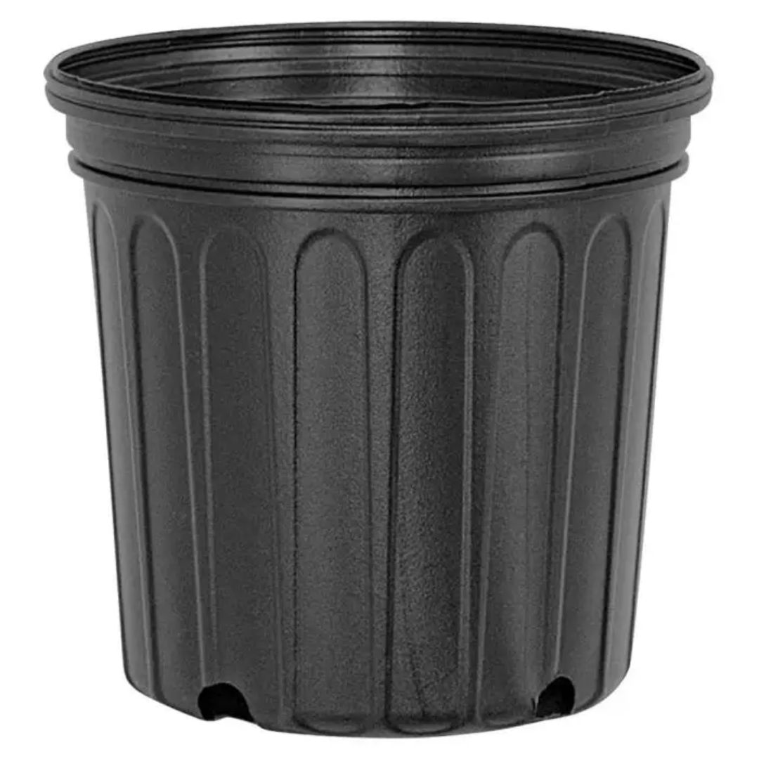 PLASTIC POT 2 GALLON