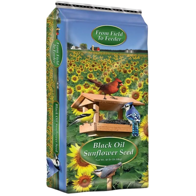 OIL SUNFLOWER 20LB