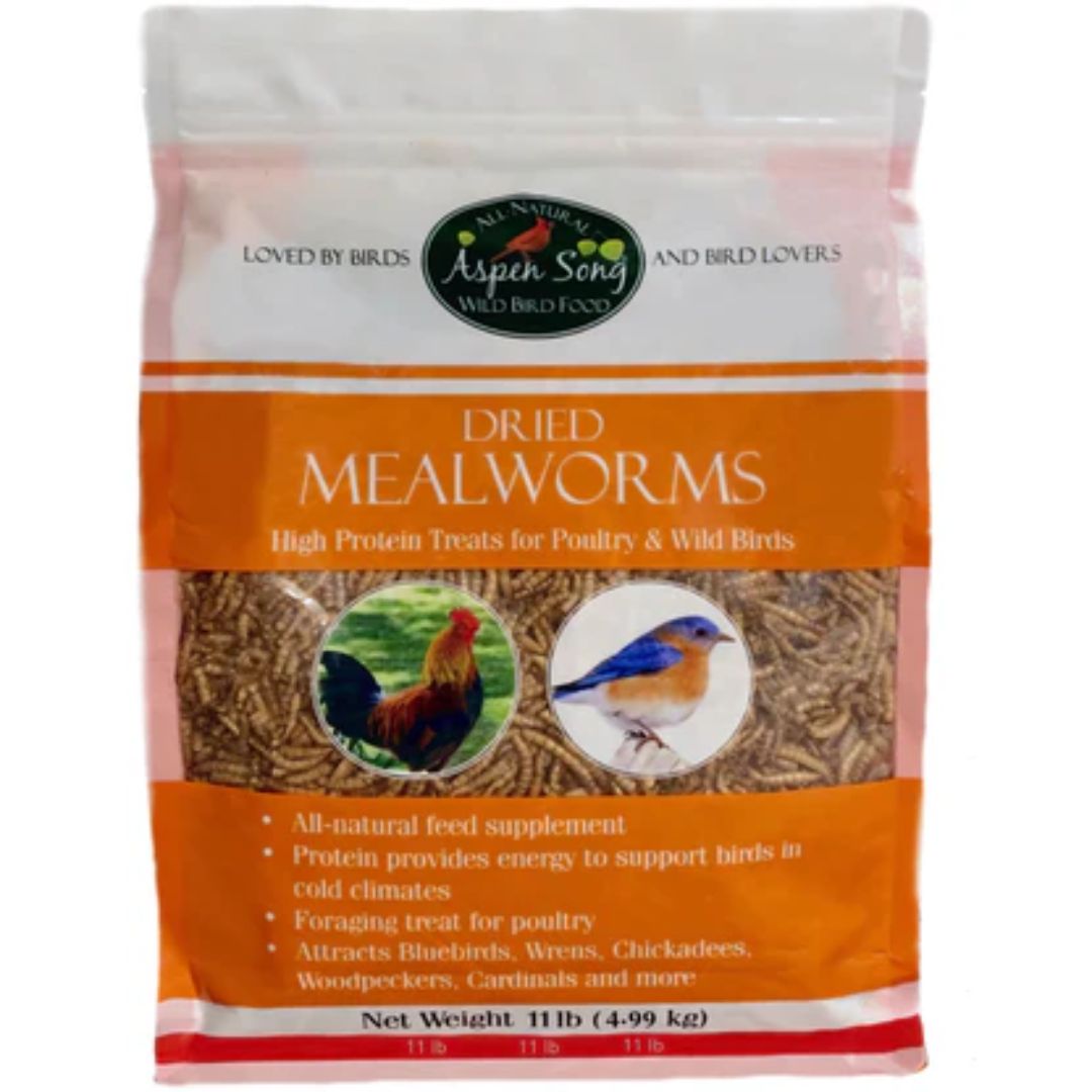 MEALWORMS 11LB