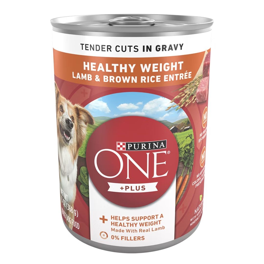 ONE DOG HEALTHY WEIGHT 12/13OZ