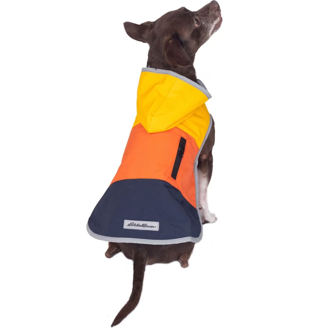 EDDIE BAUER RAVENNA WINDBREAKER GOLD &amp; ORANGE DOG JACKET SM