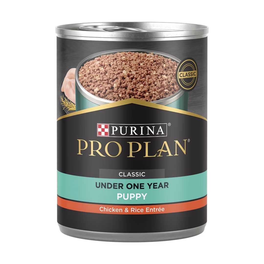 PRO PLAN PUPPY CHICKEN &amp; RICE 12/13OZ