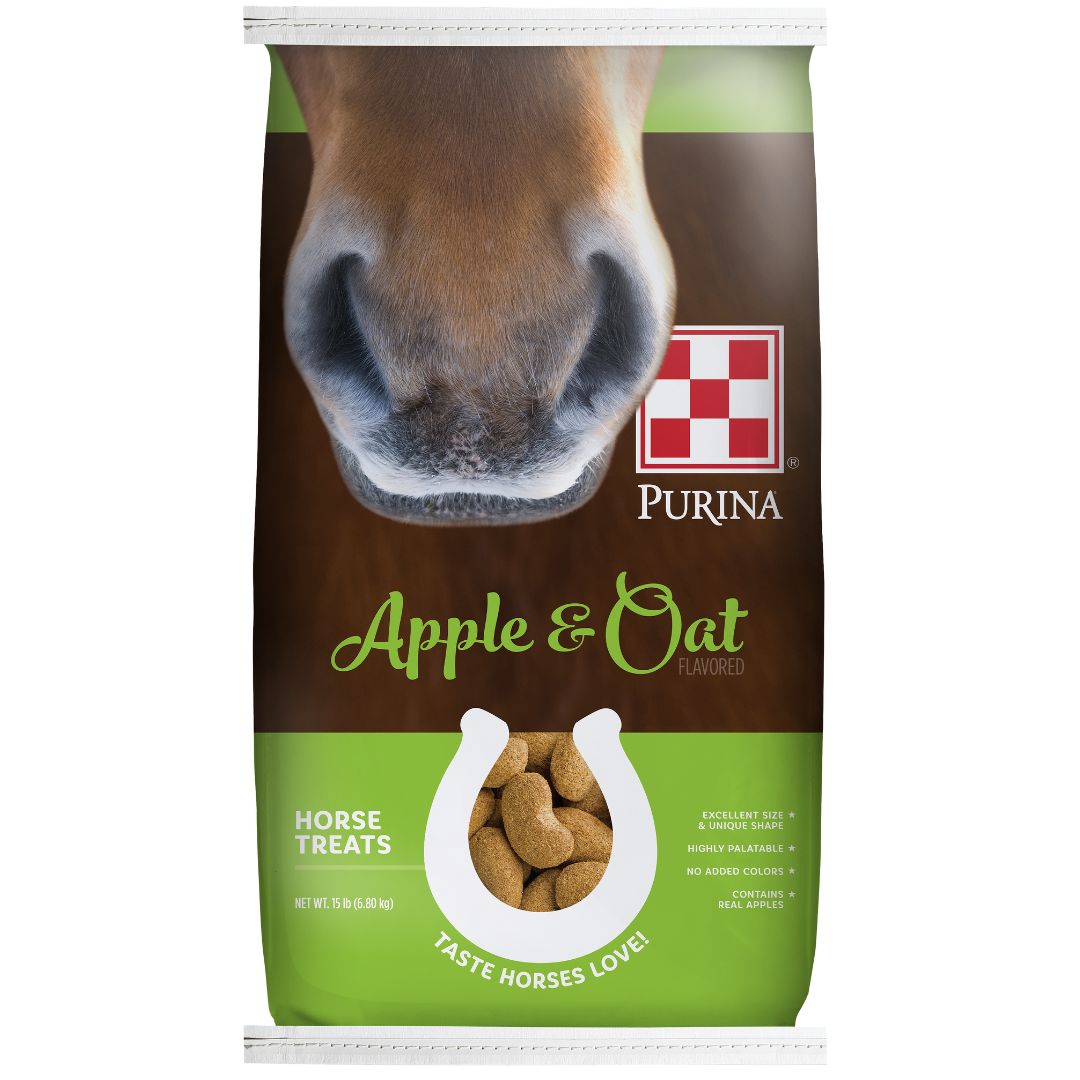 APPLE &amp; OAT HORSE TREATS 15LB
