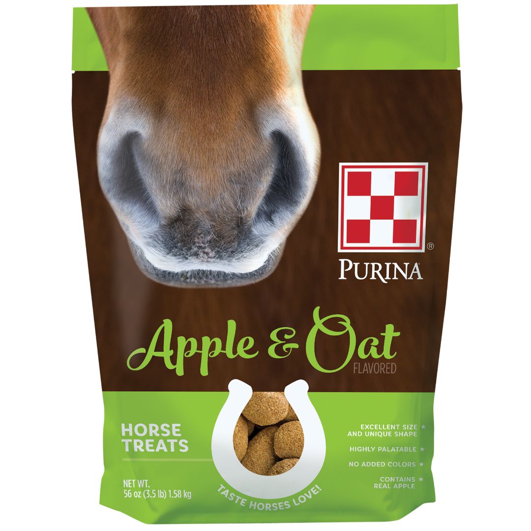 APPLE &amp; OAT HORSE TREATS 3.5LB