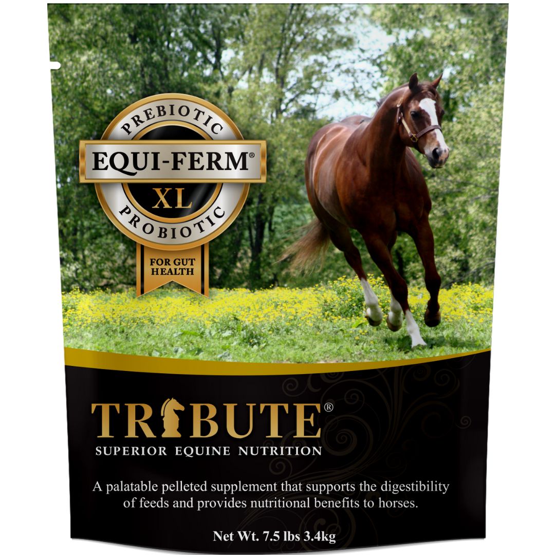 EQUI-FERM XL PREBIOTIC &amp; PROBIOTIC HORSE SUPPLEMENT 7.5LB