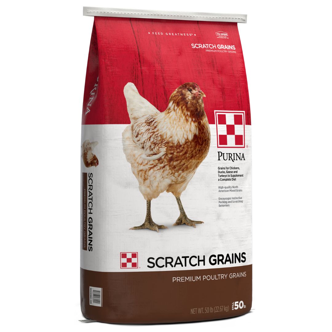 SCRATCH GRAINS 50LB PURINA
