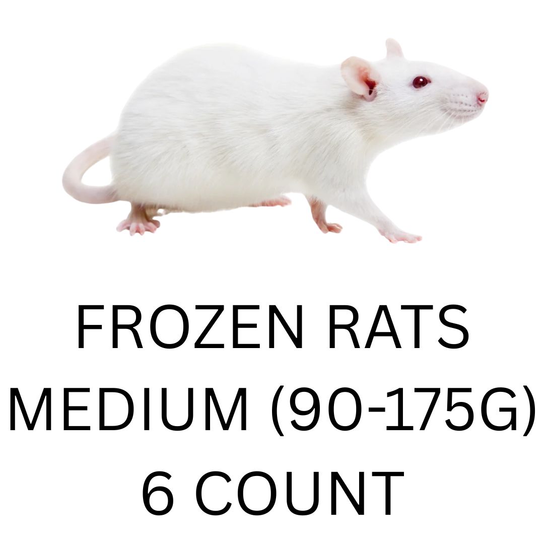 FROZEN RATS - MED 6CT