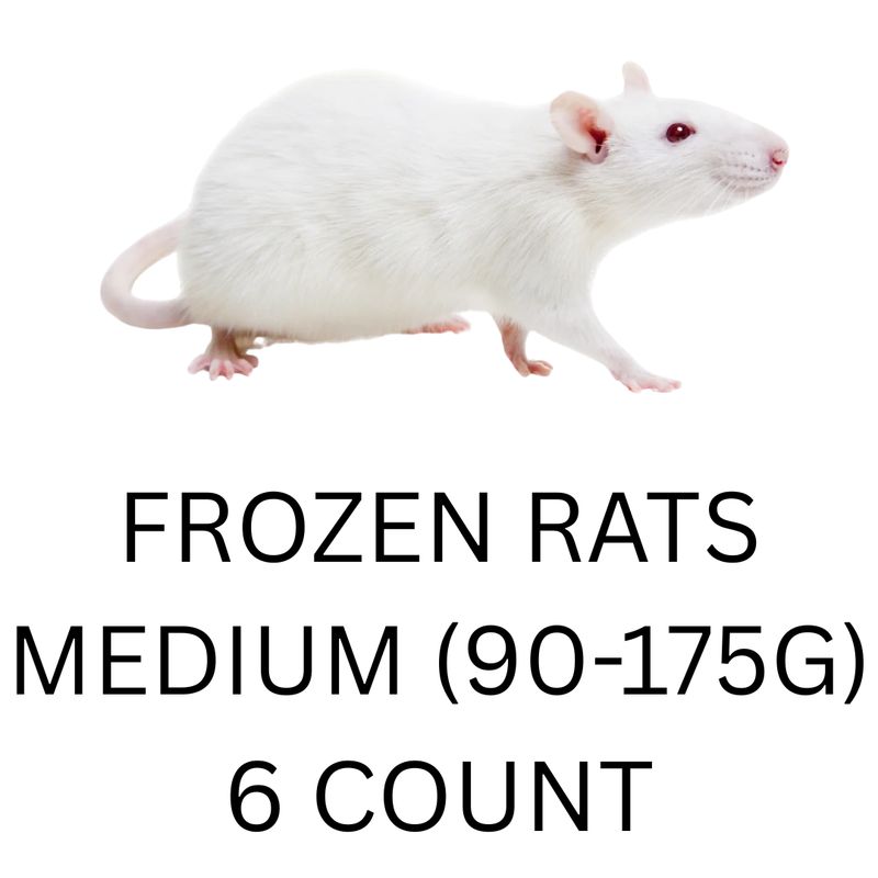 FROZEN RATS - MED 6CT