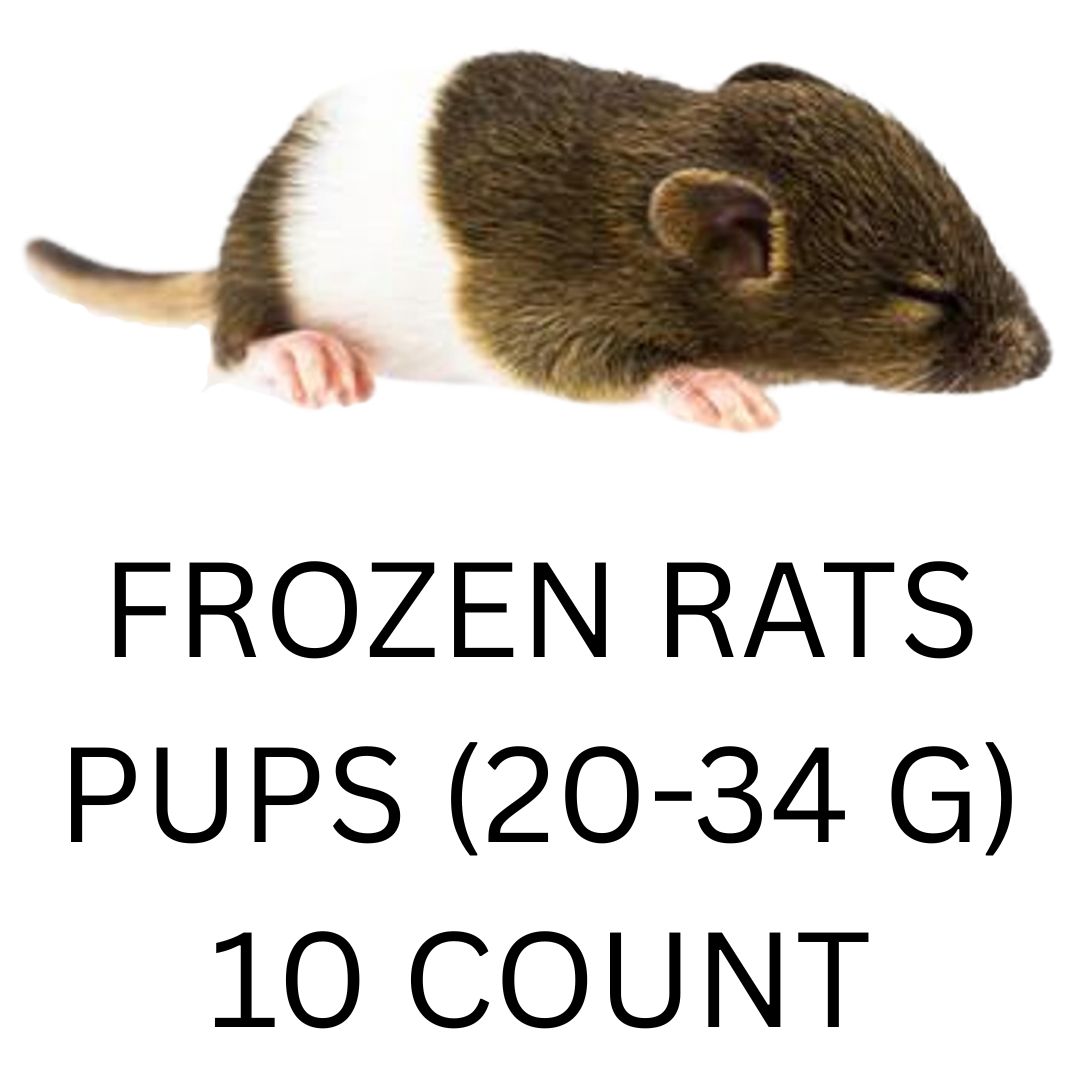 FROZEN RATS - PUPS 10CT