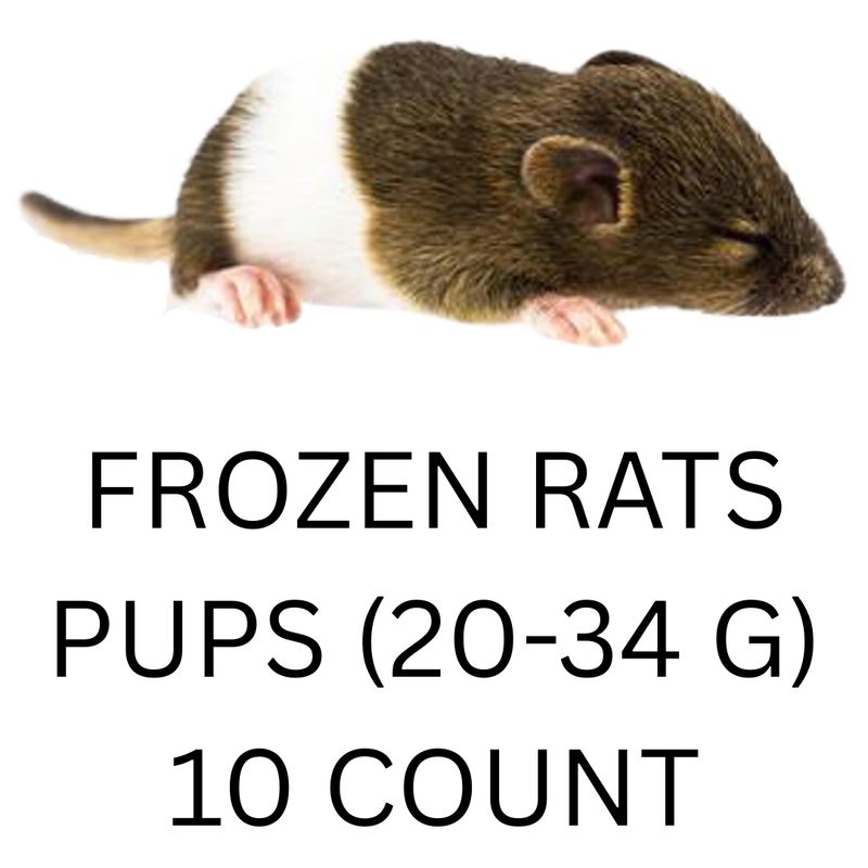 FROZEN RATS - PUPS 10CT