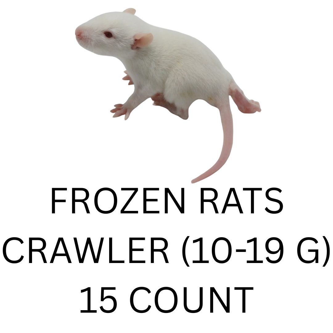 FROZEN RATS - CRAWLER 15CT