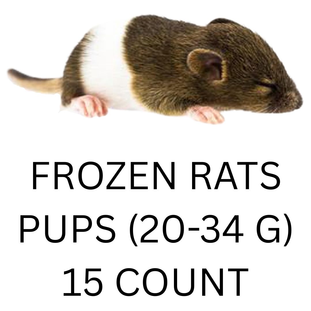 FROZEN RATS - PUP 15CT