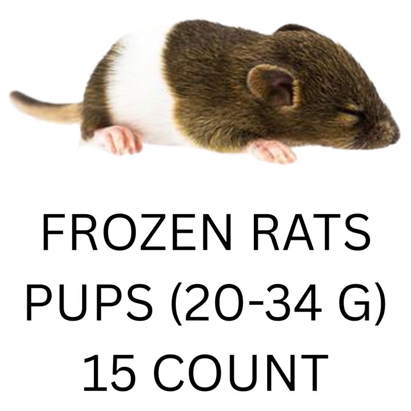 FROZEN RATS - PUP 15CT