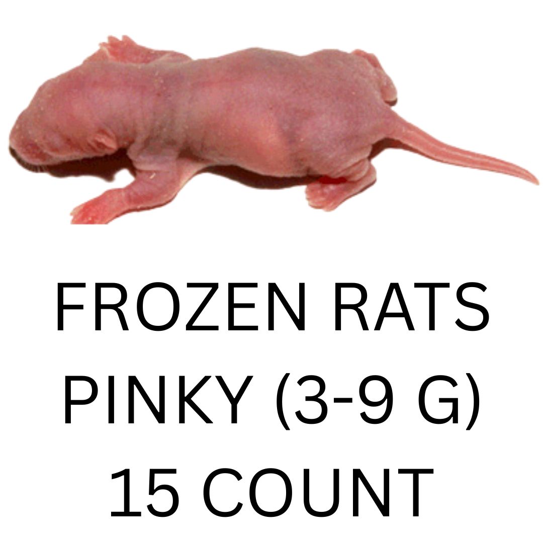 FROZEN RATS - PINKY 15CT