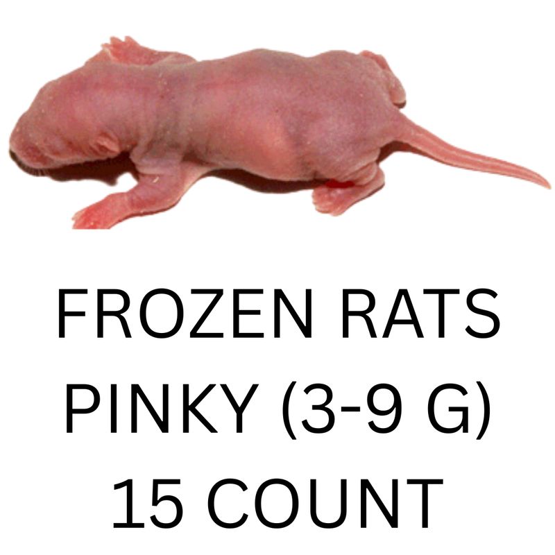 FROZEN RATS - PINKY 15CT