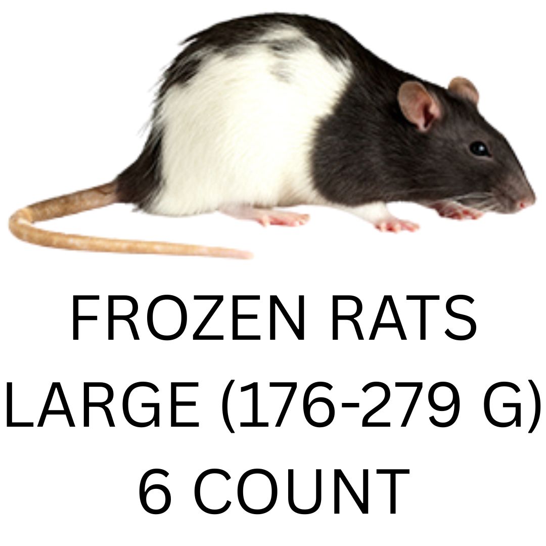 FROZEN RATS - LG 6CT