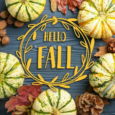 FALL SEASON