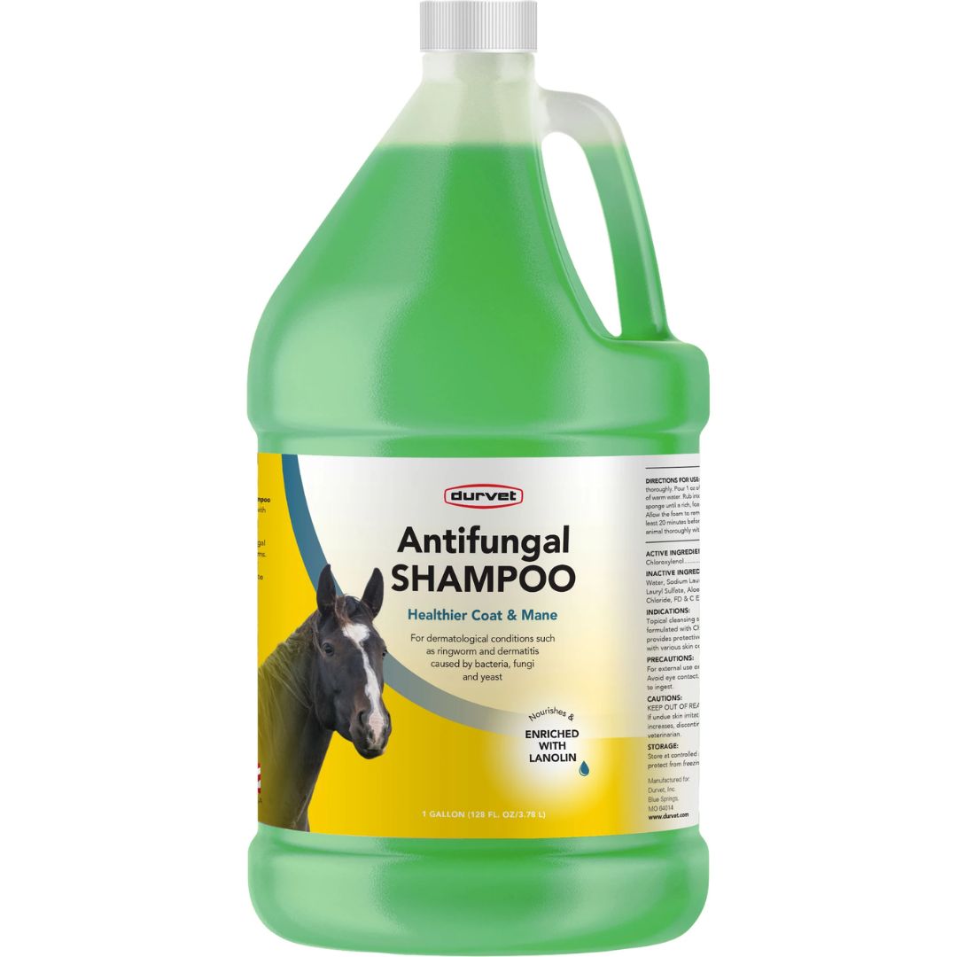 ANTIFUNGAL EQUINE SHAMPOO GAL