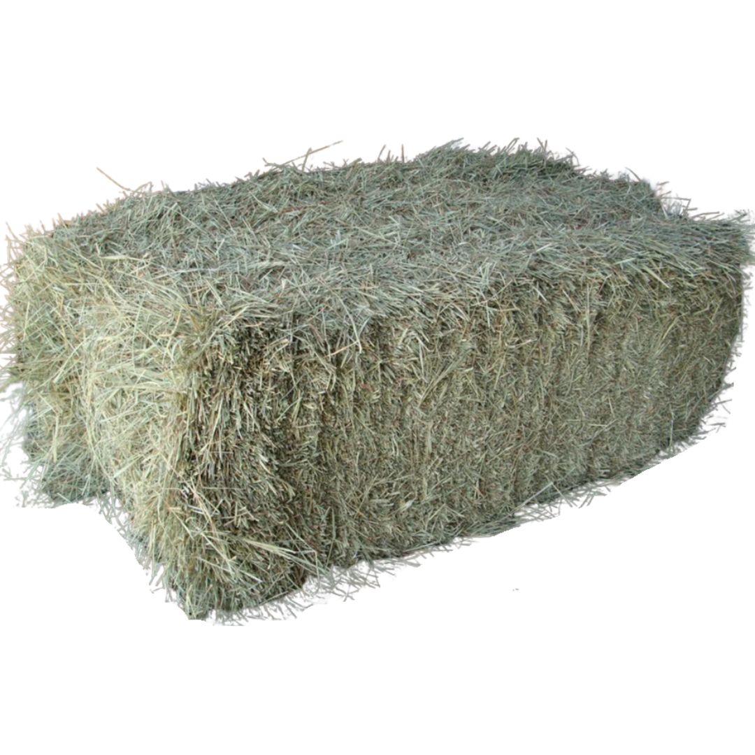 HAY - MIXED GRASS