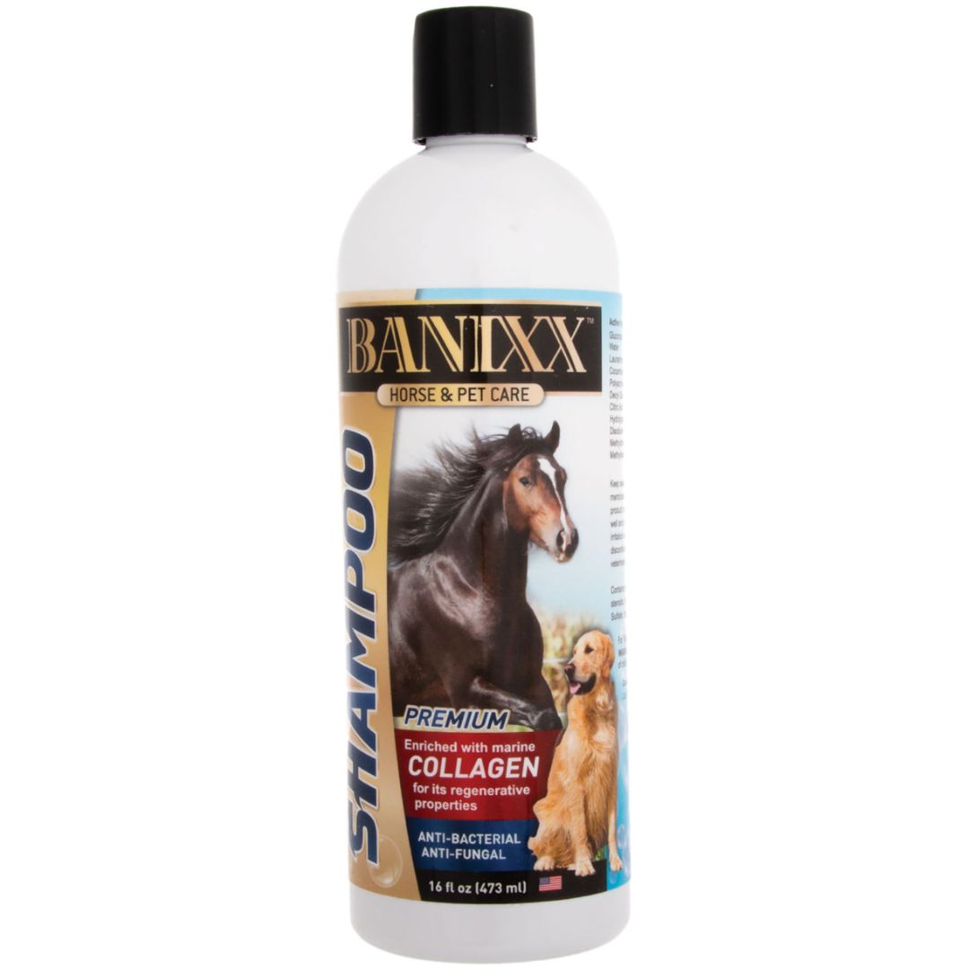 BANIXX MEDICATED SHAMPOO 16OZ