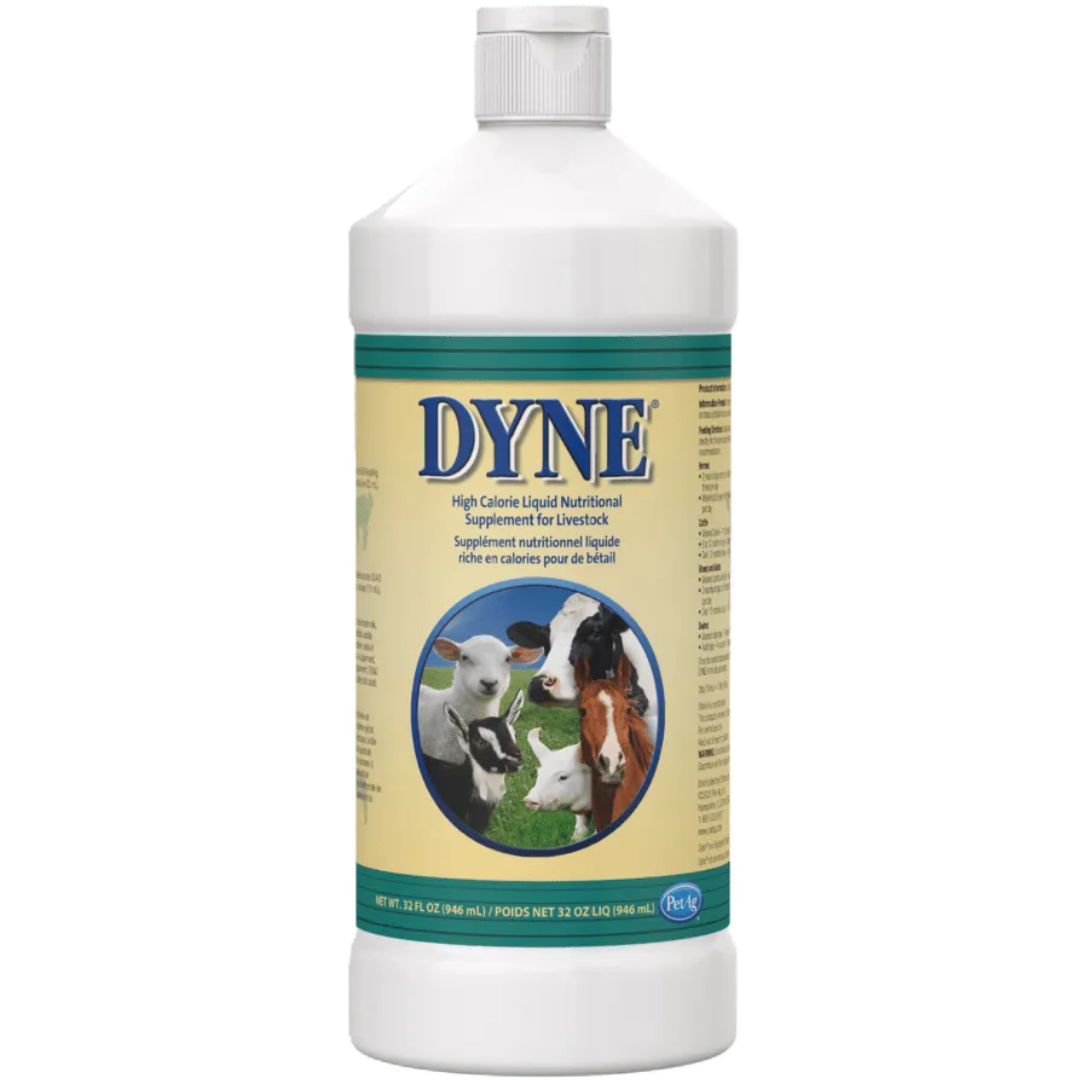 DYNE HIGH CALORIE SUPPLEMENT LIVESTOCK 32OZ
