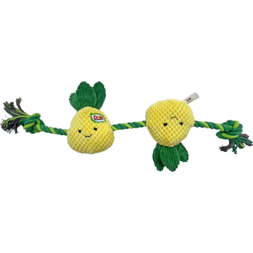 DOLE PINE N' TUG PLUSH ROPE TOY