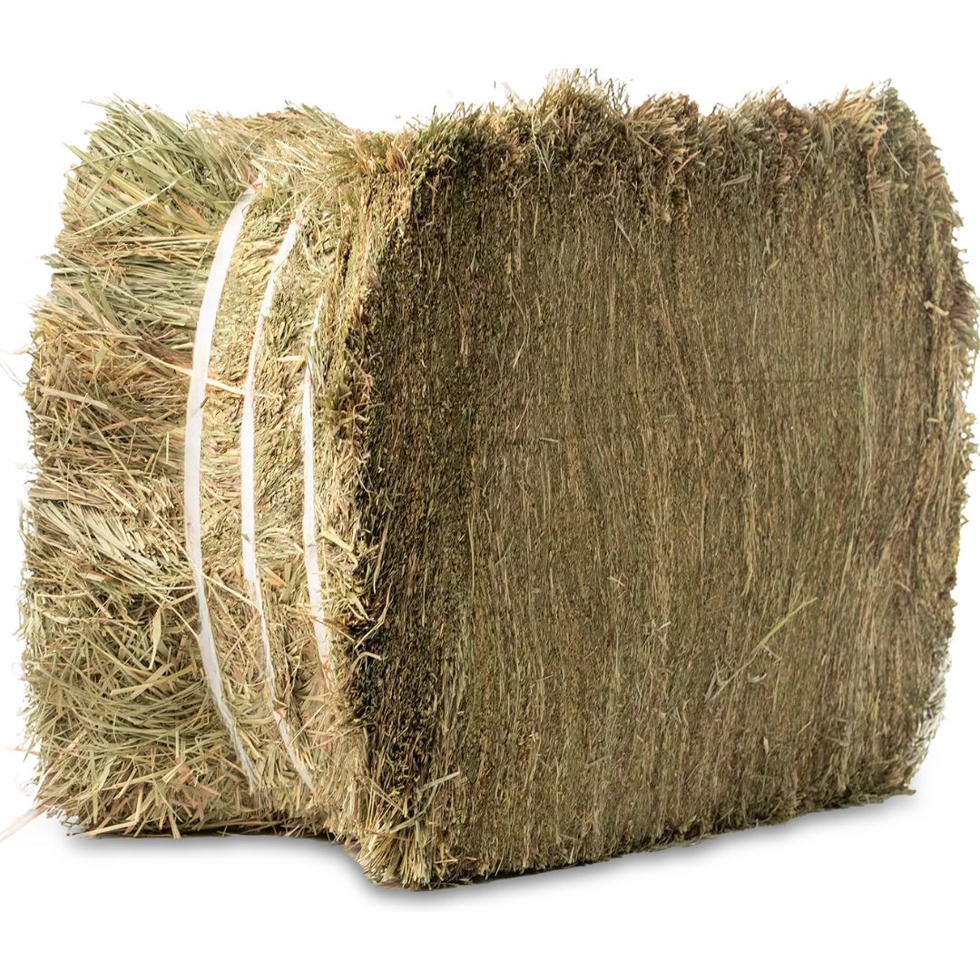 TIMOTHY BALE COMPRESSED 35LB