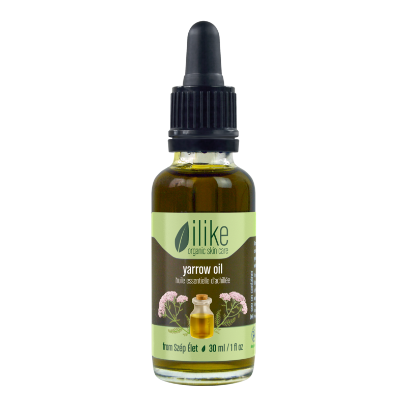 Yarrow Oil