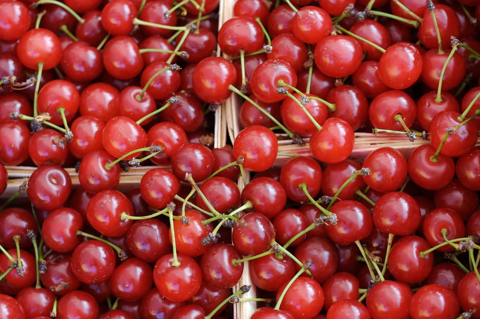 Sour Cherry Cleansing Milk