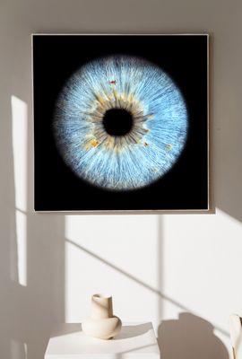1 iris