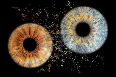 2 iris