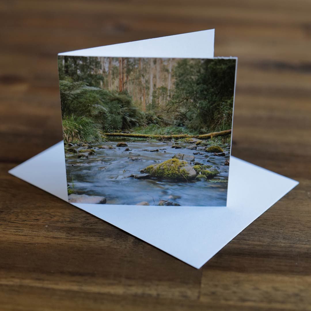 Lake Elizabeth River - 4&quot; Card &amp; Envelope