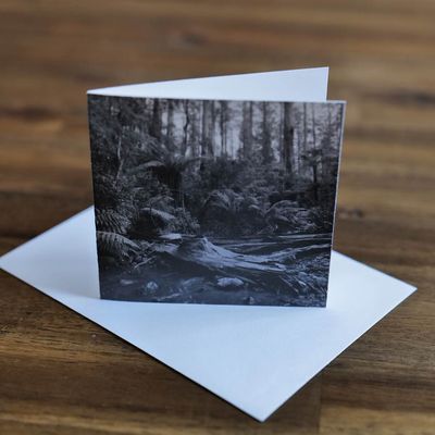 Sherbrooke Falls - 4&quot; Card &amp; Envelope