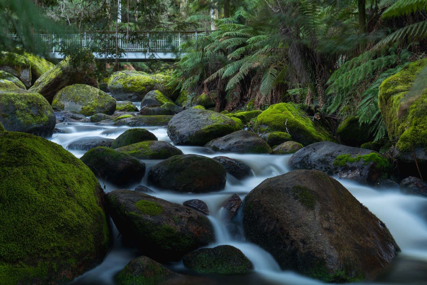 Waterfalls Photo Workshop - Toorongo Falls - 12/10/25