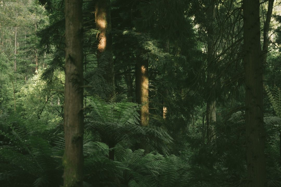 Host a Photography Show at Loop