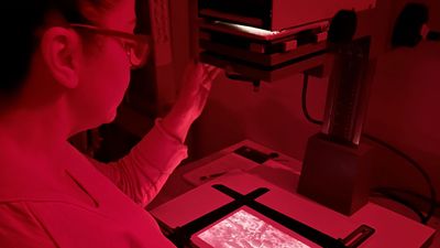 Darkroom Solstice 2026 Submission