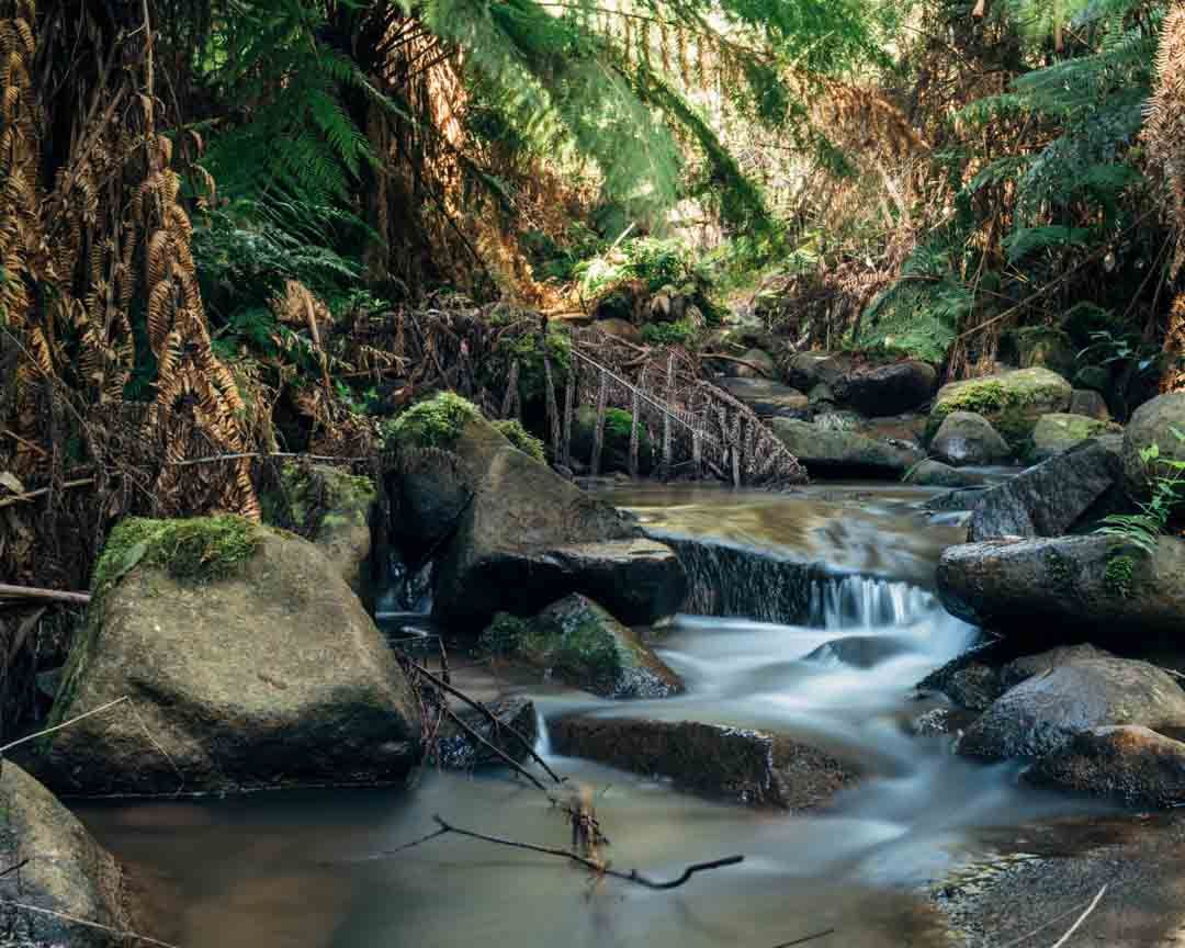 Workshop: Waterfalls - Olinda Falls