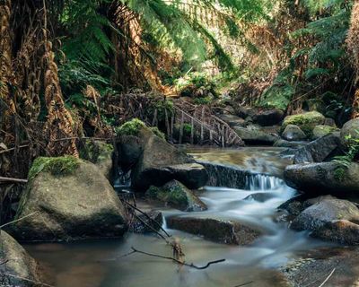 Workshop: Waterfalls - Olinda Falls
