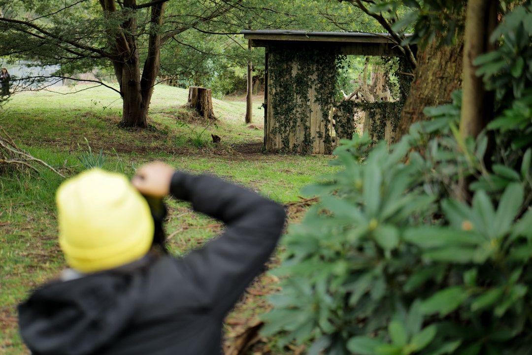 Beginner Photography Course (4 Weeks)