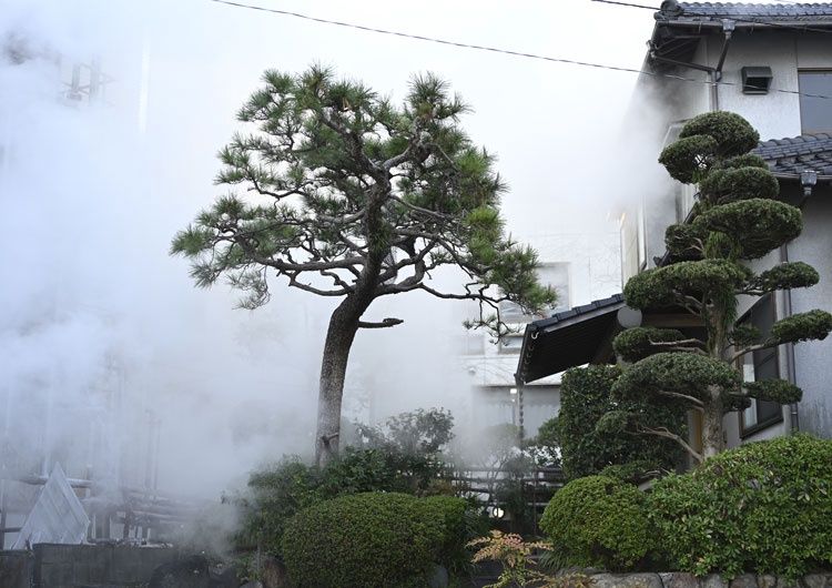 Steam - Leah Wheatley - Framed Local Artist Print - A3