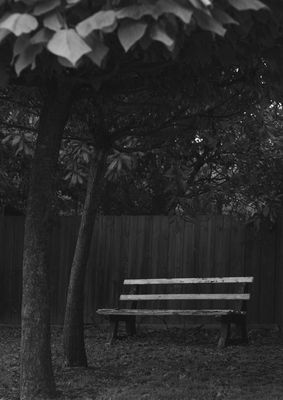 Chair - Chris McKerrow - Local Artist Print