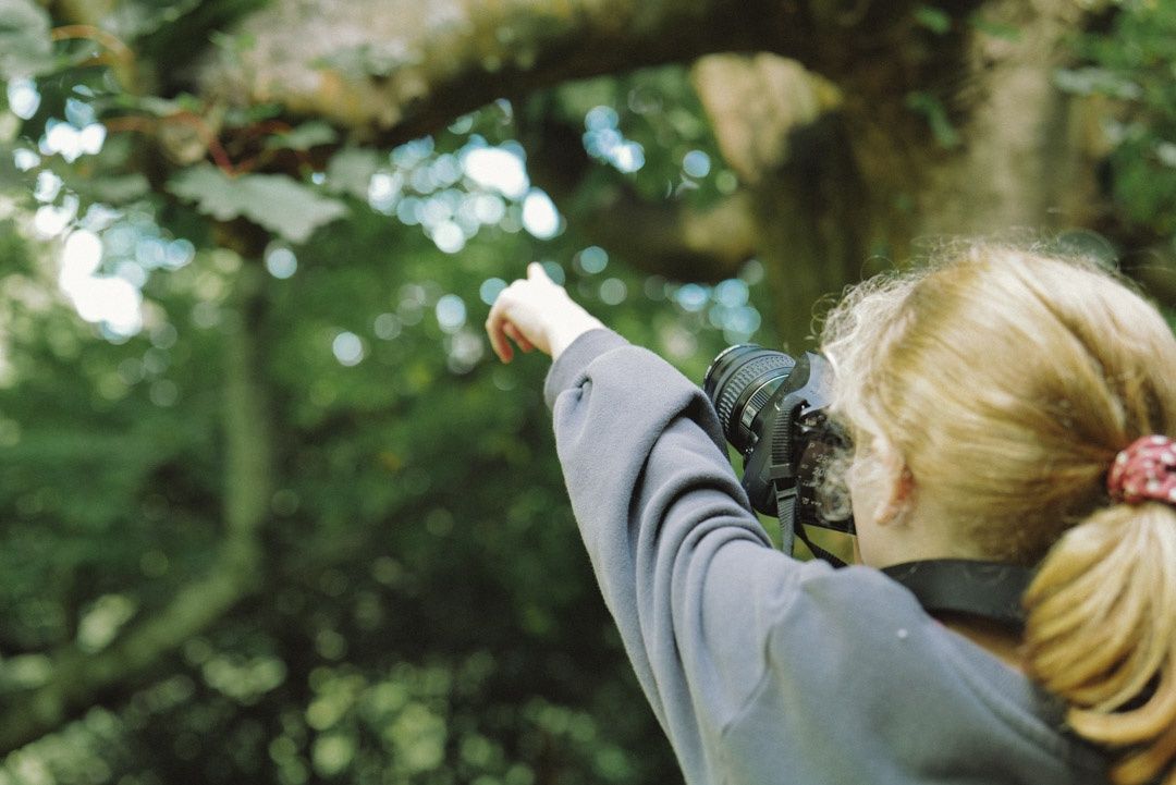Loop Photo School: Kids - Term 3, 2026