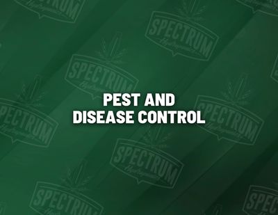 Pest and Disease Control